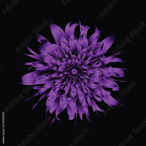 Purple realistic 3d flower illustration, Flower Petal With Black Background. A flower illustration with unique color . vector illustration.  