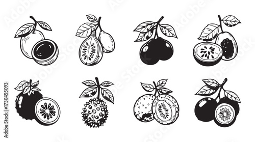 Collection of exotic tropical fruits and berries hand-drawn sketch style with leaves vector