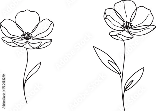 Minimalist Black and White Line Art Flower Drawings