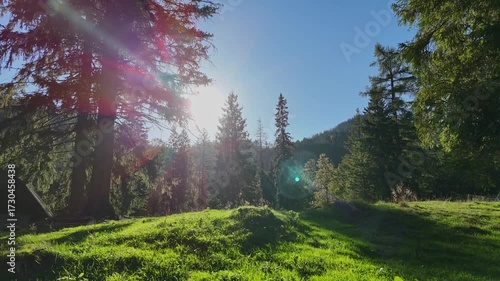 beautiful green meadows, grass and trees in the foothills of the Tatra Mountains early in the morning on a clear sunny day