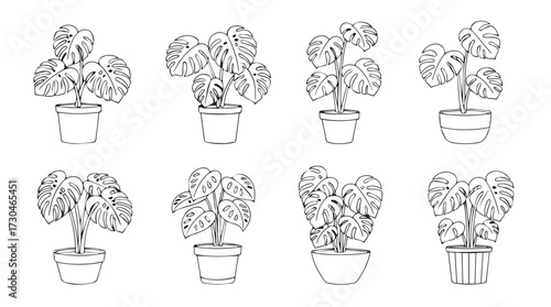Collection of outline drawings of houseplants in pots botanical line art collection vector