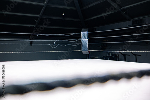 A boxing ring with white canvas and black ropes. The scene is dimly lit, emphasizing the structure and tension of the ring. No people are present.