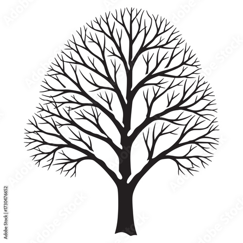 Bare Winter Tree Silhouette Illustration