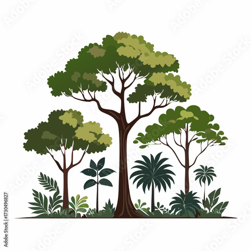 Illustration of a diverse group of trees and lush vegetation, including ferns and palms, against a white background, creating a vibrant natural scene.