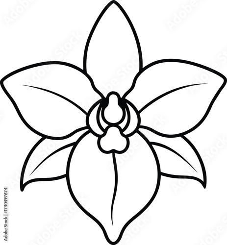 Orchid flower illustration for coloring book page