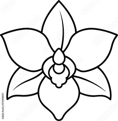Elegant orchid flower illustration for coloring book art