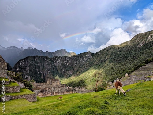 Rainbow over Machu Picchu with Llamas