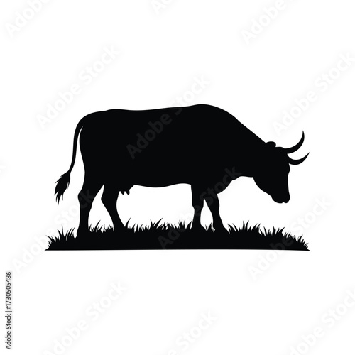 A silhouette of a cow grazing in the grass with horns visible, bull grazing silhouette vector illustration