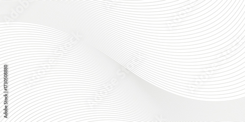 white abstract background with gray curve vector line pattern design eps10