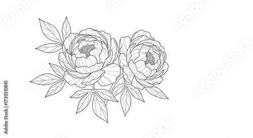 An artistic sketch of delicate roses with flowing leaves and stems.