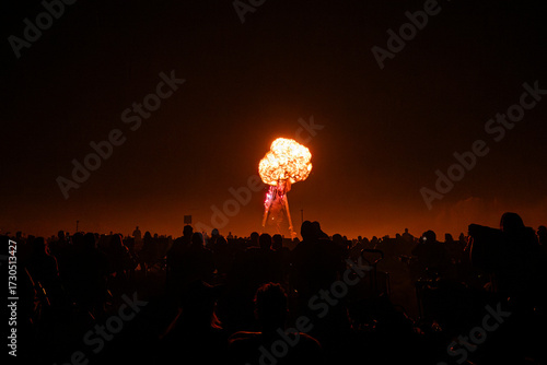 Fireworks in the sky