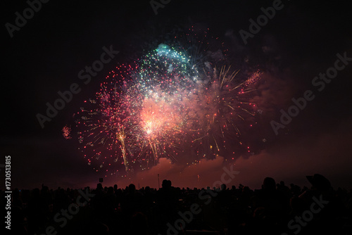 fireworks in the sky