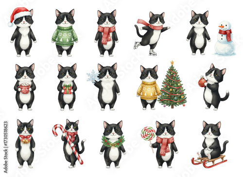 Cute Cats Festive Christmas Winter Collection