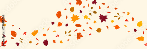 Autumn background with falling leaves in the wind. Fall thanksgiving banner frame border design with swirl leaf. September nature foliage. Vector flat illustration