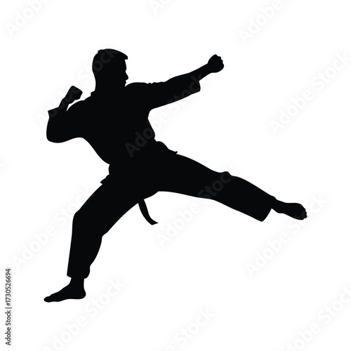 Silhouette of a karate fighter executing a flying punch in midair stance, martial artist blocking punch silhouette vector illustration
