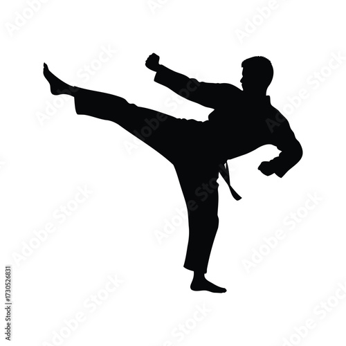 Silhouette of a martial artist performing a side kick in mid air, martial artist performing kick silhouette vector illustration