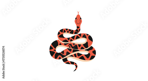 An illustration of a coiled diamondback rattlesnake showing its distinctive pattern on a white background.
