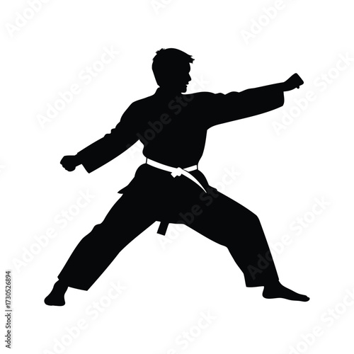 Silhouette of a karateka in fighting stance displaying focus and strength, martial artist practicing kata silhouette vector illustration