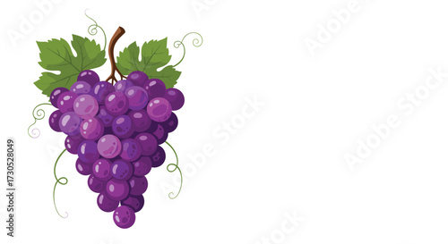 The beauty of nature illustrated with a bunch of purple grapes and green leaves.