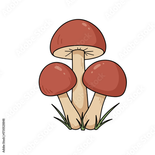 Red Mushrooms
