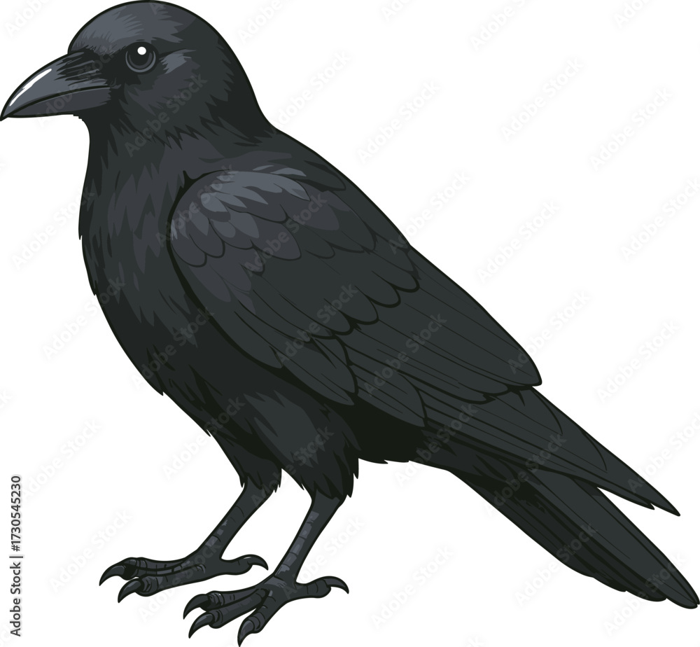 Obraz premium 左向きのカラスのイラスト