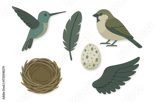 Stylized bird elements collection featuring hummingbird, sparrow, feather, nest, egg, and wing on a clean white background