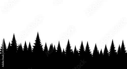 Silhouette of a dense forest of evergreen trees against a bright white sky.