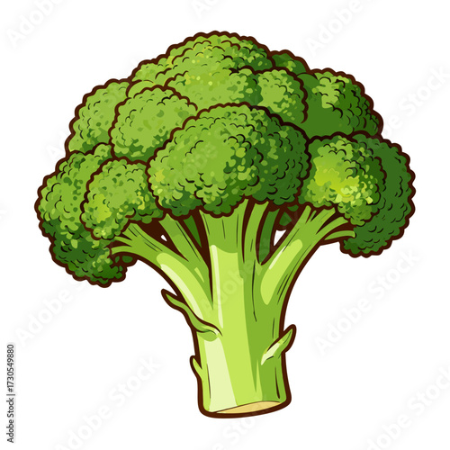 Broccoli vegetable illustration, flat design, natural colors, healthy eating concept