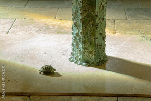 Φωτογραφία Bronze turtle statue on ancient pavement in Massa Marittima, Italy