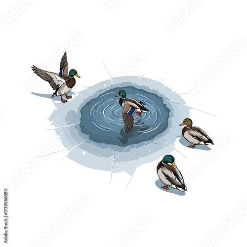 Illustration of a group of ducks near a hole in the ice, some are standing, others are flying.