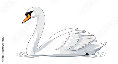 Elegant white mute swan swimming gracefully on water with detailed feather plumage, a vector illustration svg design isolated on transparent background.