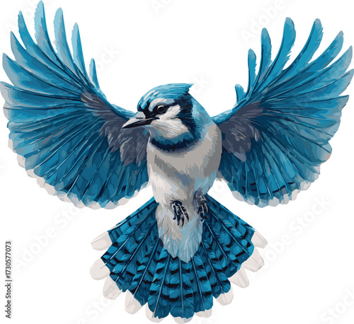 Vector art of blue jay with open wings, a vibrant symbol of nature