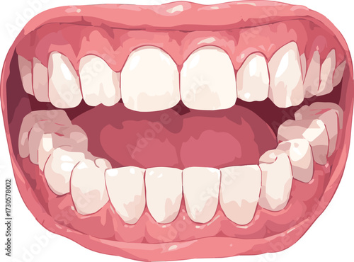 Vector art of dentures on, a set of false teeth to replace missing teeth