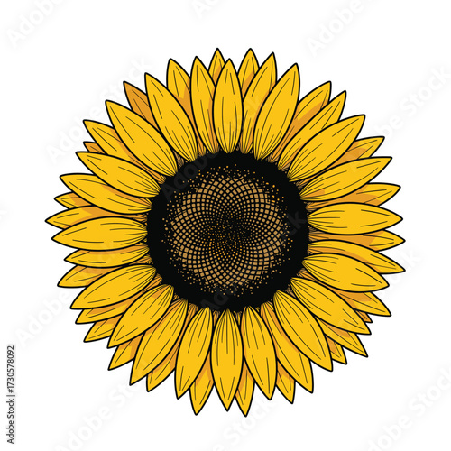 A detailed illustration of a blooming sunflower with bright yellow petals and a dark center.