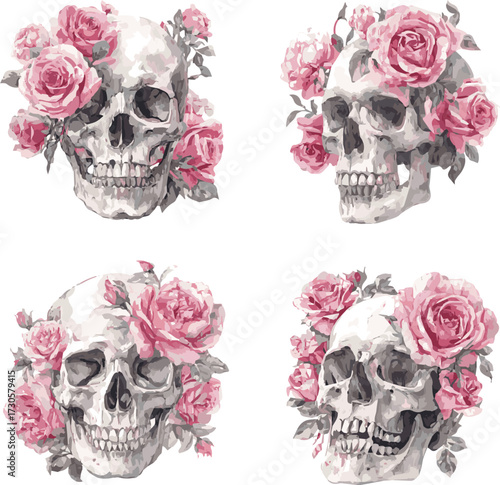Vector art of four skulls with roses, a symbol of mortality and beauty