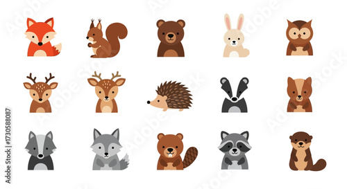 Cute Cartoon Woodland Animal Faces Vector Collection.