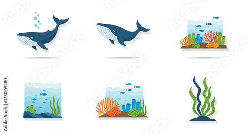 Cartoon Whale with Bubbles, Swimming Whale, Coral Reef, and Seaweed Illustrations.