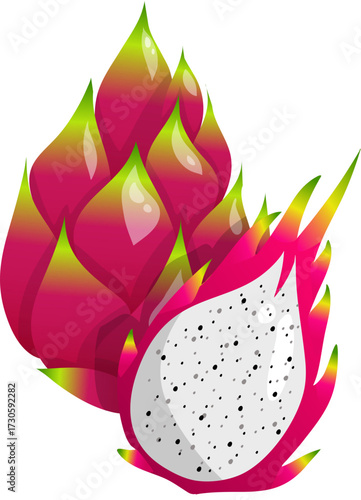 Dragon Fruit Illustration 