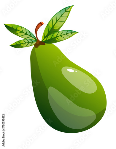 Avocado Fruit Illustration 
