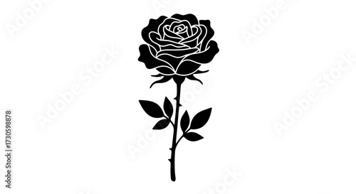 Monochrome silhouette of a rose blooming with intricate petal arrangement and sharp thorns