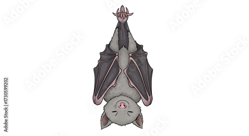 Resting Bat Illustration: A charming, detailed depiction of a bat in restful upside-down slumber