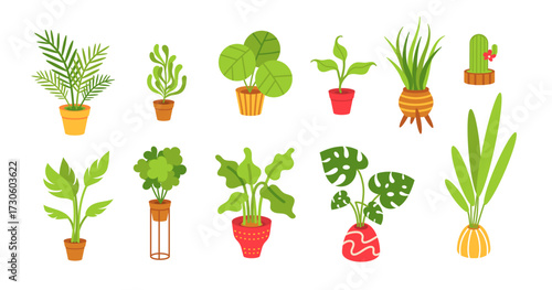 Indoor Plants flat cartoon set. House plants in ceramic cups, pots, basket. Decorative color collection Plants