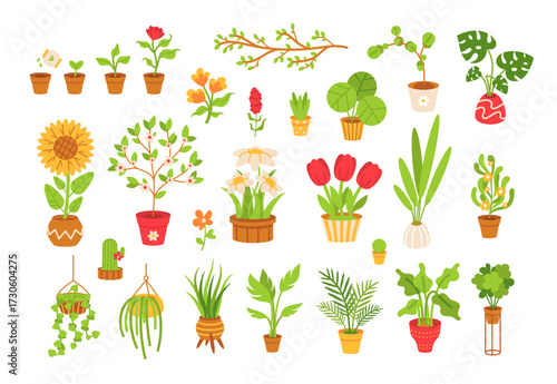 Home indoor plants set. Cartoon flat Houseplants in flowerpots. Home Scandinavian decor.  wicker potsб and hanging planters. Exotic Monstera and other decoration green planting on white background