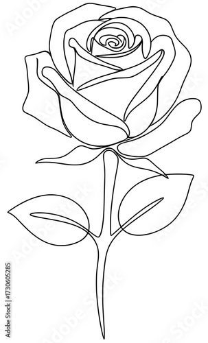 Elegant line art illustration of a rose flower with intricate details, showcasing its petals and leaves, perfect for coloring pages and artistic expression