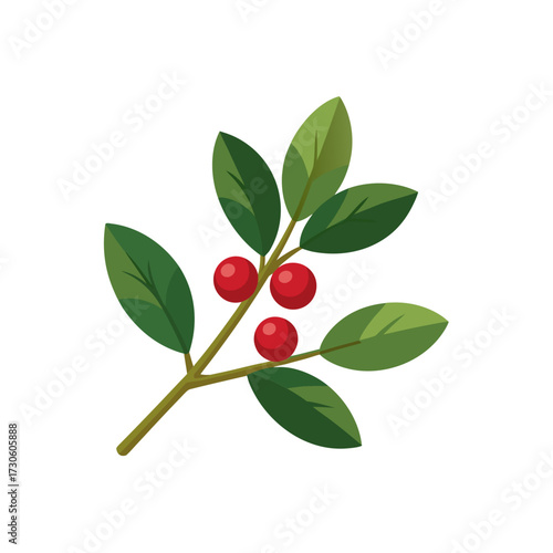 branch of red currant isolated on white