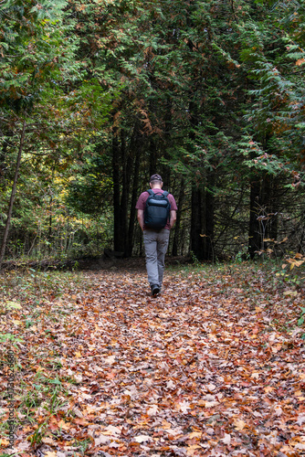 Back View of a Man Carrying a Knapsack Walking into the Woods on an Autumn day
