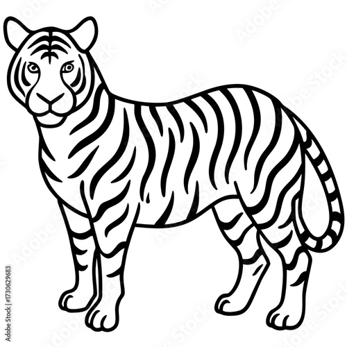 Minimalist Tiger Stripe Line Art Vector Illustration on White Background
