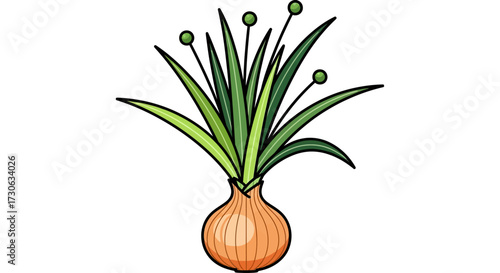 Cartoon illustration of a sprouting onion bulb with long green leaves and small buds growing upwards.