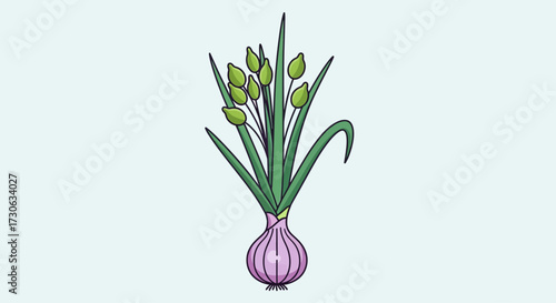 Stylized illustration depicting a purple onion bulb with tall green leaves and numerous green flower buds.