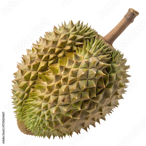 durian fruit isolated on transparent background